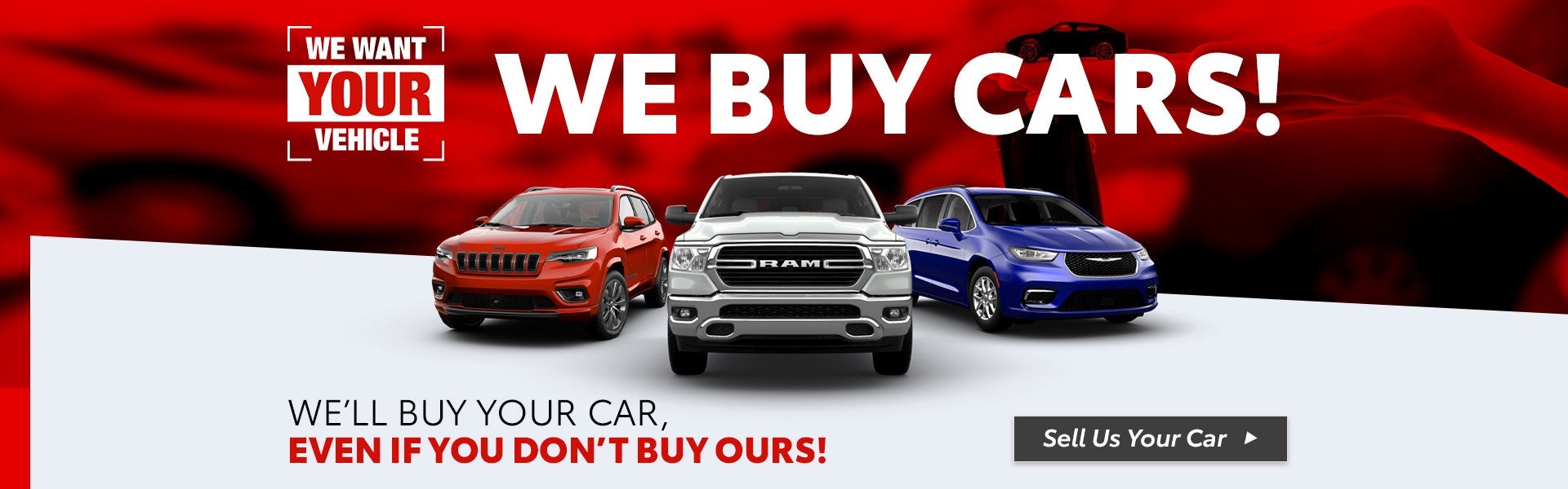 We Want To Buy Your Car!